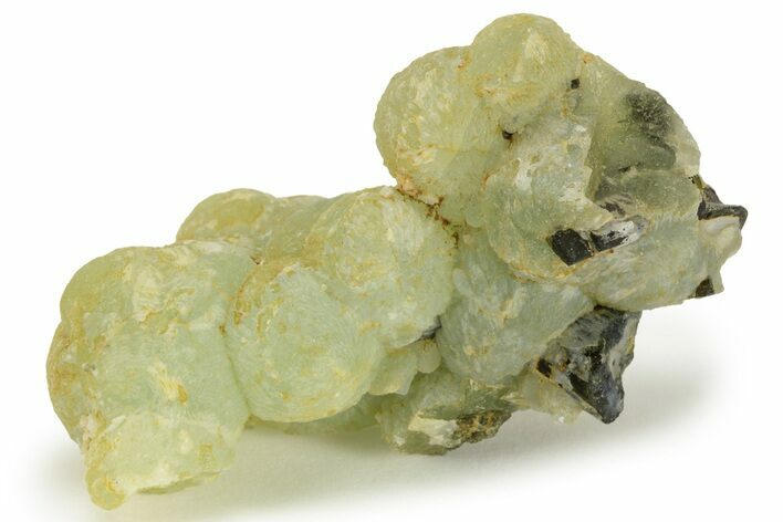 Botryoidal Prehnite and Epidote - Mali #220459